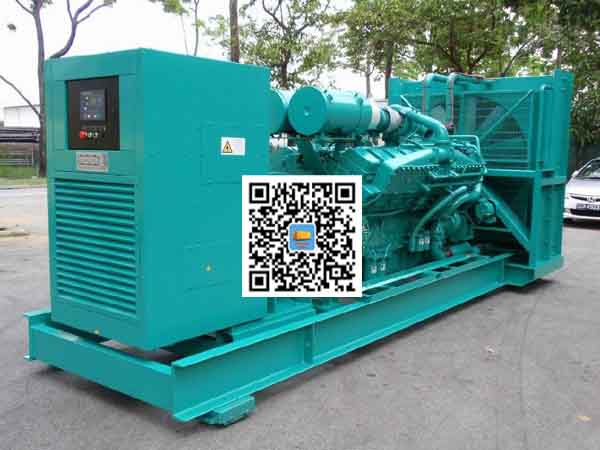 大名租赁发电机-康明斯发电机性价比还是比较高的